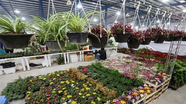 برپایی نمایشگاه گل و گیاه از فردا در قزوین