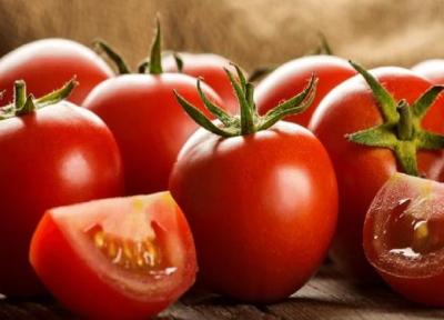 3 روش مهم و کاربردی برای فریز کردن گوجه فرنگی